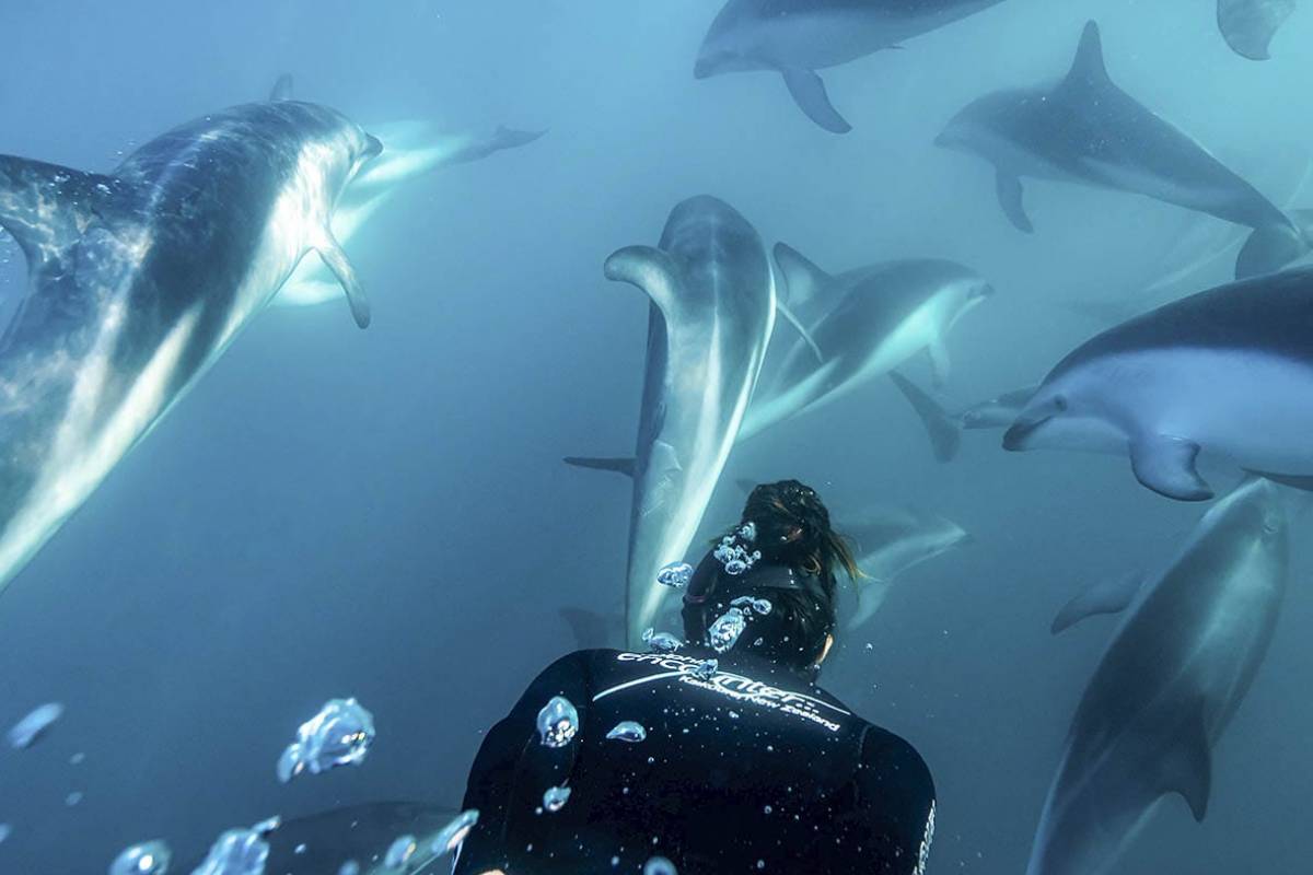 Swim up close & personal