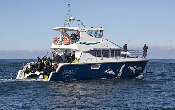 Read more on MOANA NUI