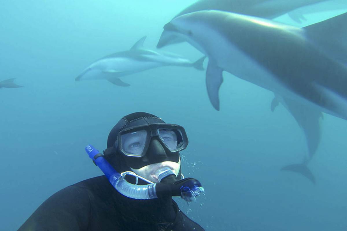 SWIMMING WITH DOLPHINS IS A LIFE-CHANGING EXPERIENCE