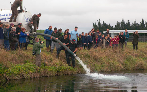 Read more on Kaikōura Salmon Enhancement Trust