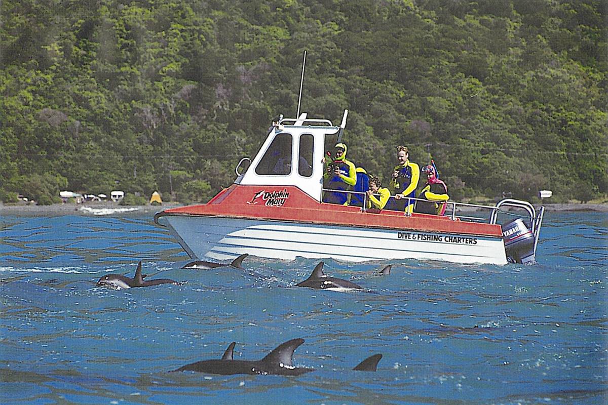 Encounter Kaikoura History